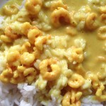 Madras-Curry
